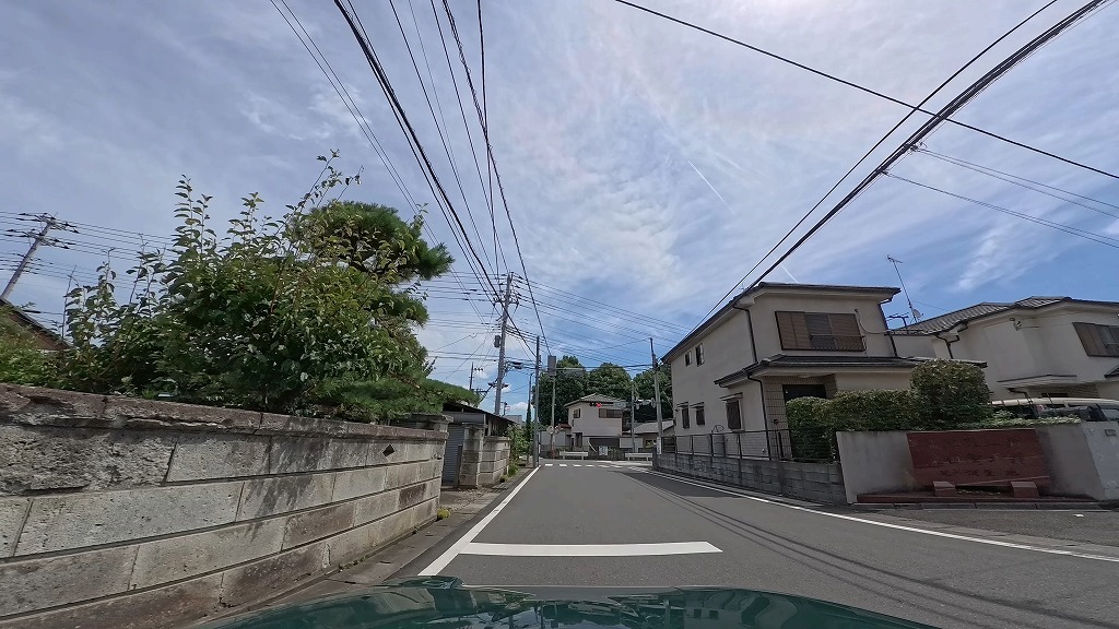 日高市 カワセミ街道
